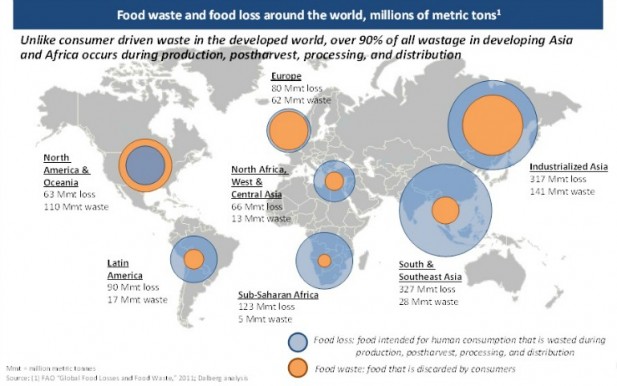 Food waste infographic