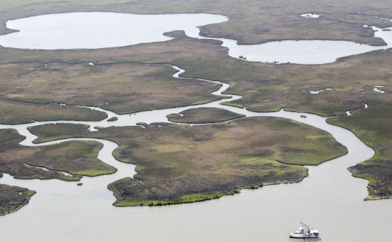 A shrimp boat trawls near healthy marsh, bayous and water ways east of the mouth of the Atchafalaya River near Morgan City, Louisiana April 20, 2011. When BP’s Deepwater Horizon oil rig exploded and sank in the Gulf of Mexico last April, killing 11 workers, authorities first reported that no crude was leaking into the ocean. They were wrong. One year on, oil from the largest spill in U.S. history clogs wetlands, pollutes the ocean and endangers wildlife, not to mention the toll it has inflicted on the coastal economies of Florida, Mississippi, Alabama and especially Louisiana. REUTERS/Sean Gardner (UNITED STATES - Tags: DISASTER ENVIRONMENT BUSINESS ENERGY)