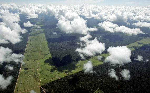 Strips of deforested land in the Brazilian Amazon (Rickey Rogers / Courtesy Reuters).