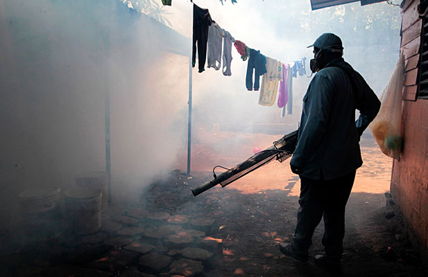 Zika