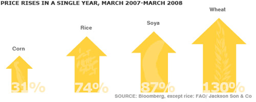 Price Rises 2007-2008