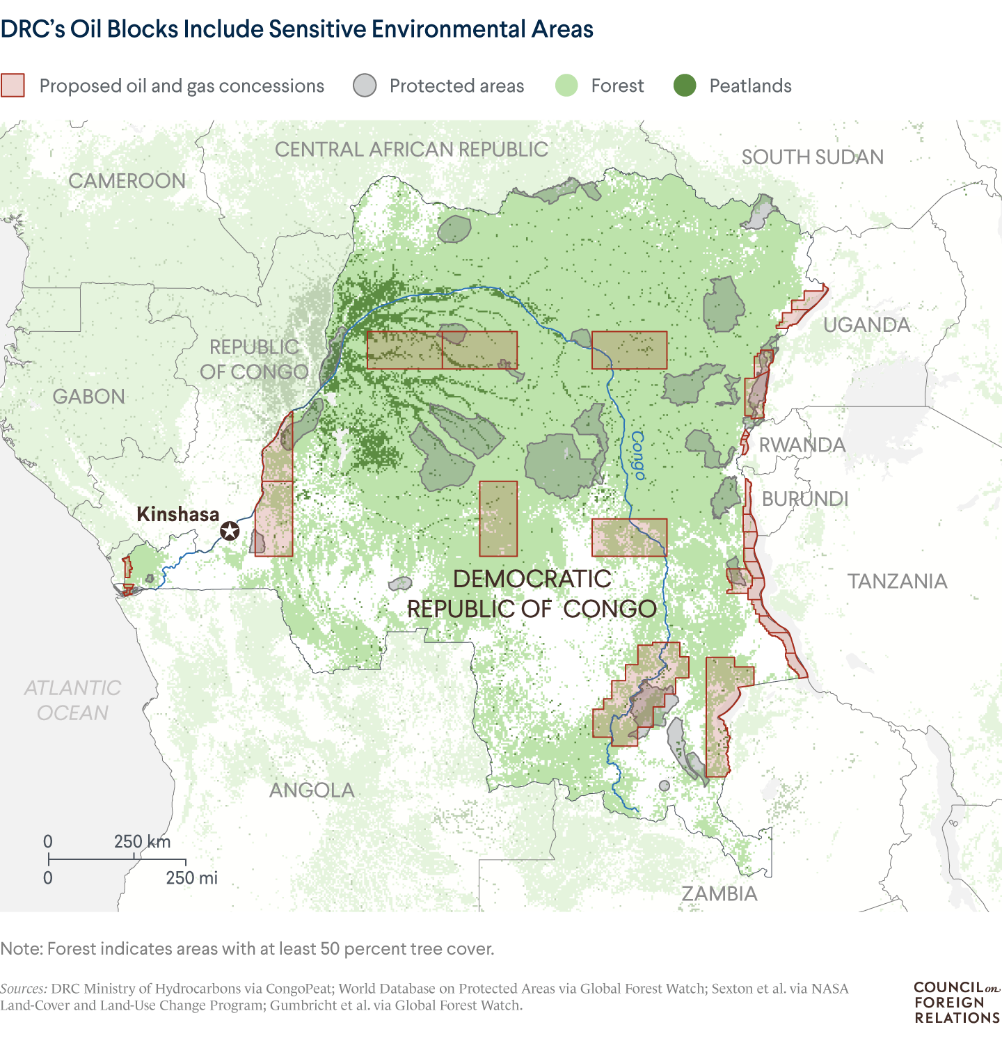 A map of oil and gas concessions up for auction in the Democratic Republic of Congo, showing overlap with forest, peatlands, and protected areas