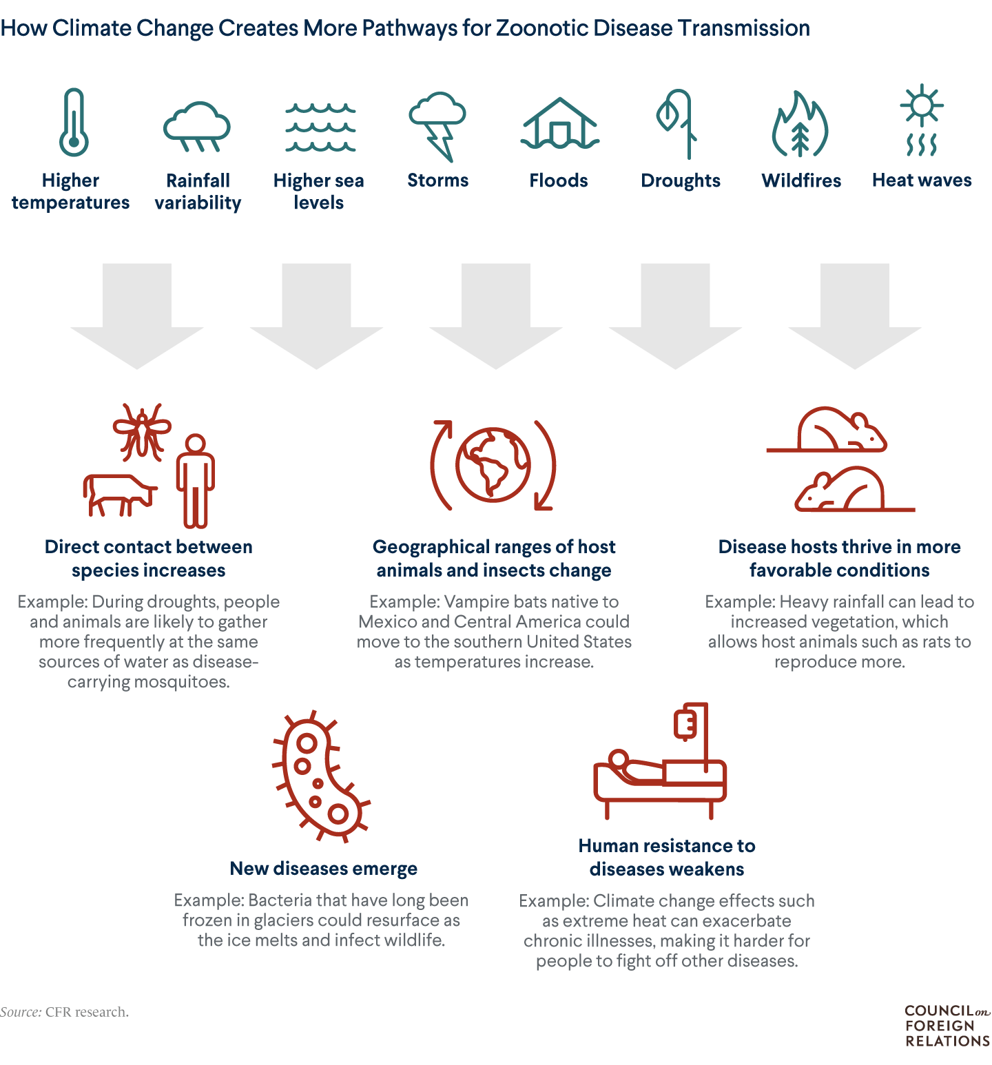 An infographic illustrating how climate change creates more pathways for zoonotic disease transmission