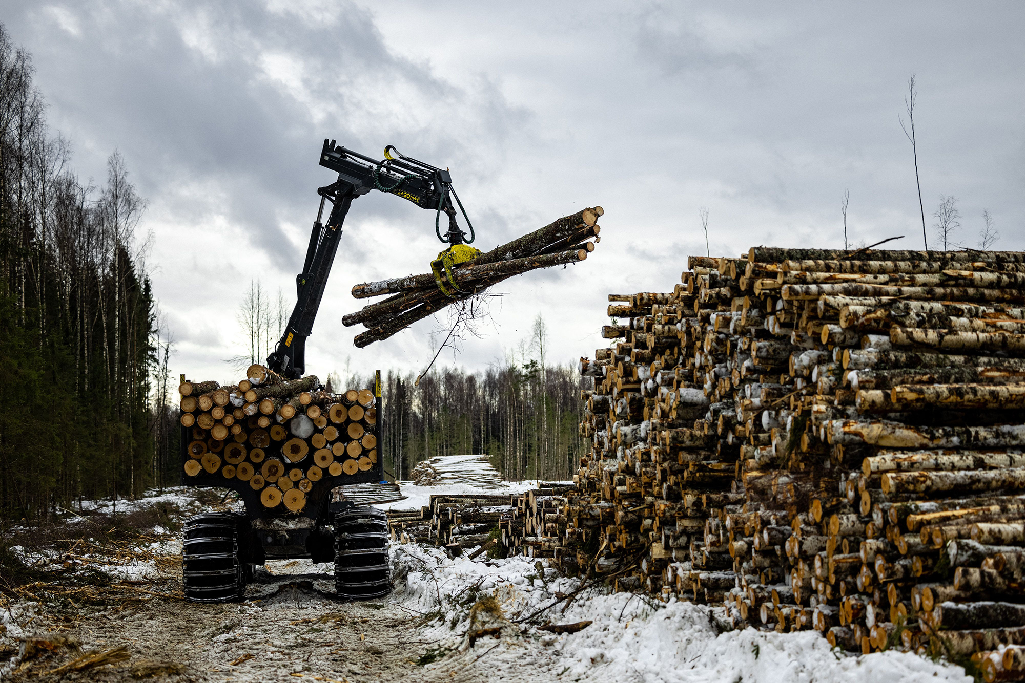 A logging crane loads wood onto a truck.
