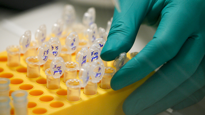 A researcher, seen through a window, prepares DNA in a laboratory at the Bioaster Technology Research Institute in Lyon. 