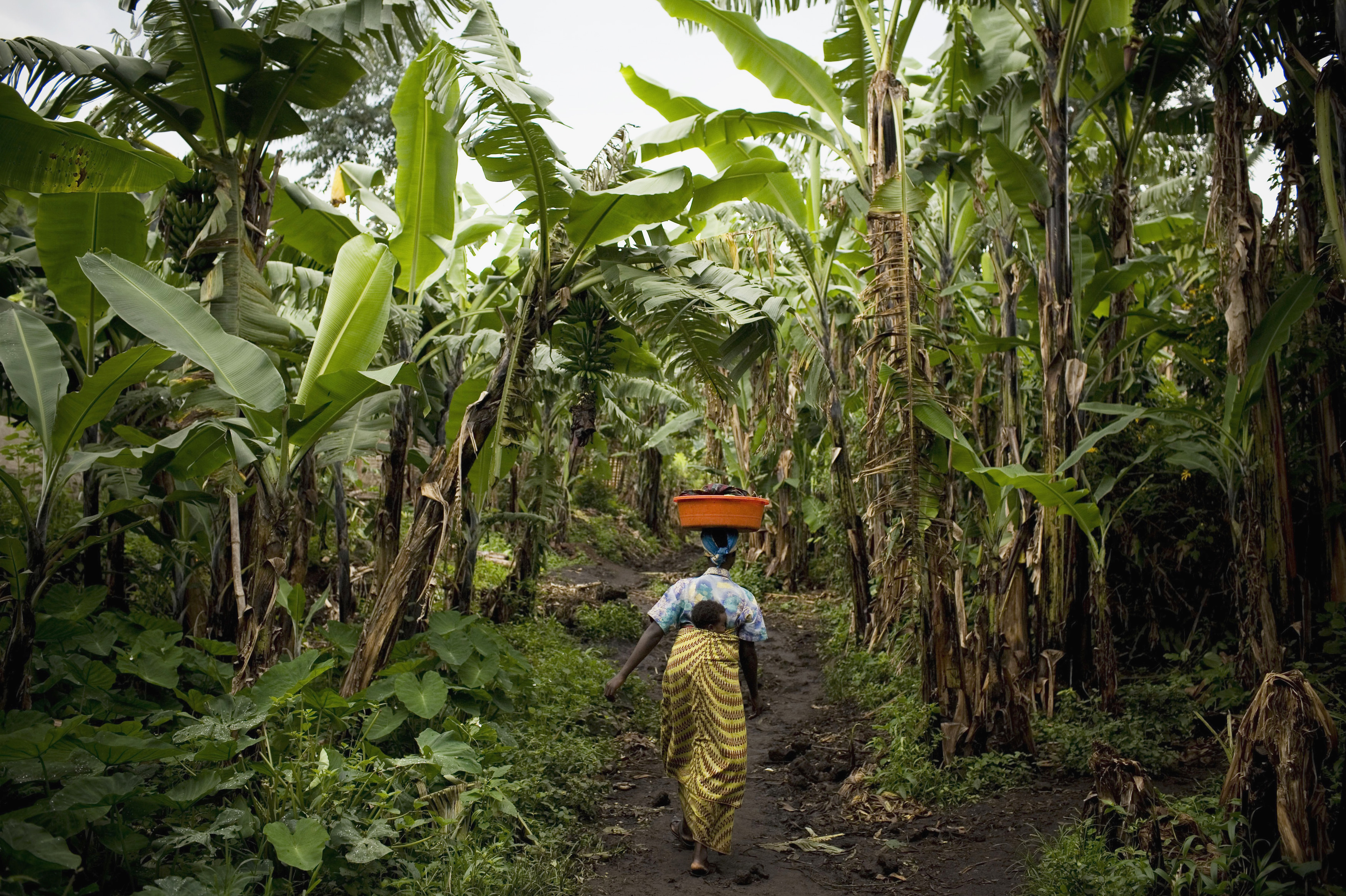 woman in congo