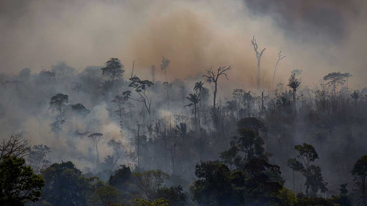 Smokes rises from forest fires in Para State, Brazil.