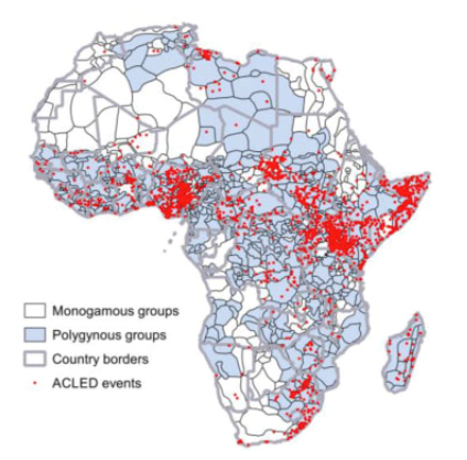 Polygyny and Political Violence in Africa