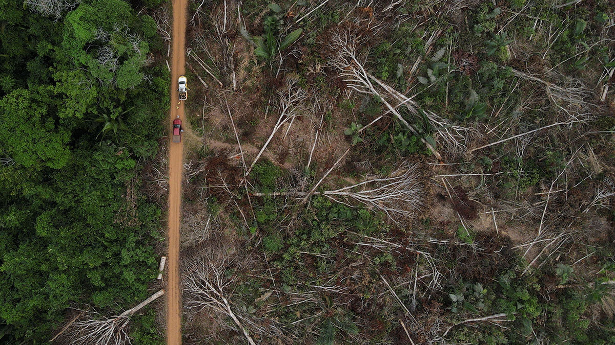 A deforested area of the Amazon Rainforest in Apui, Amazonas State, Brazil.